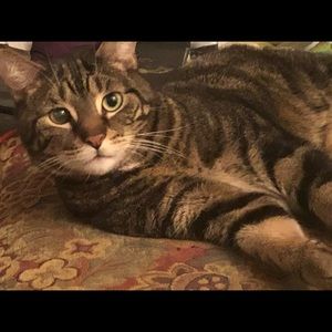 Meet your Posher, Barbara